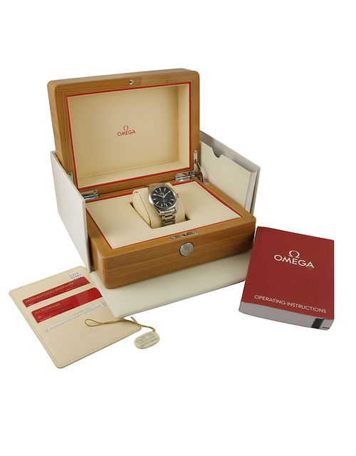 Omega Aqua Terra 150m Gents 231.10.42.21.03.003 Image 6